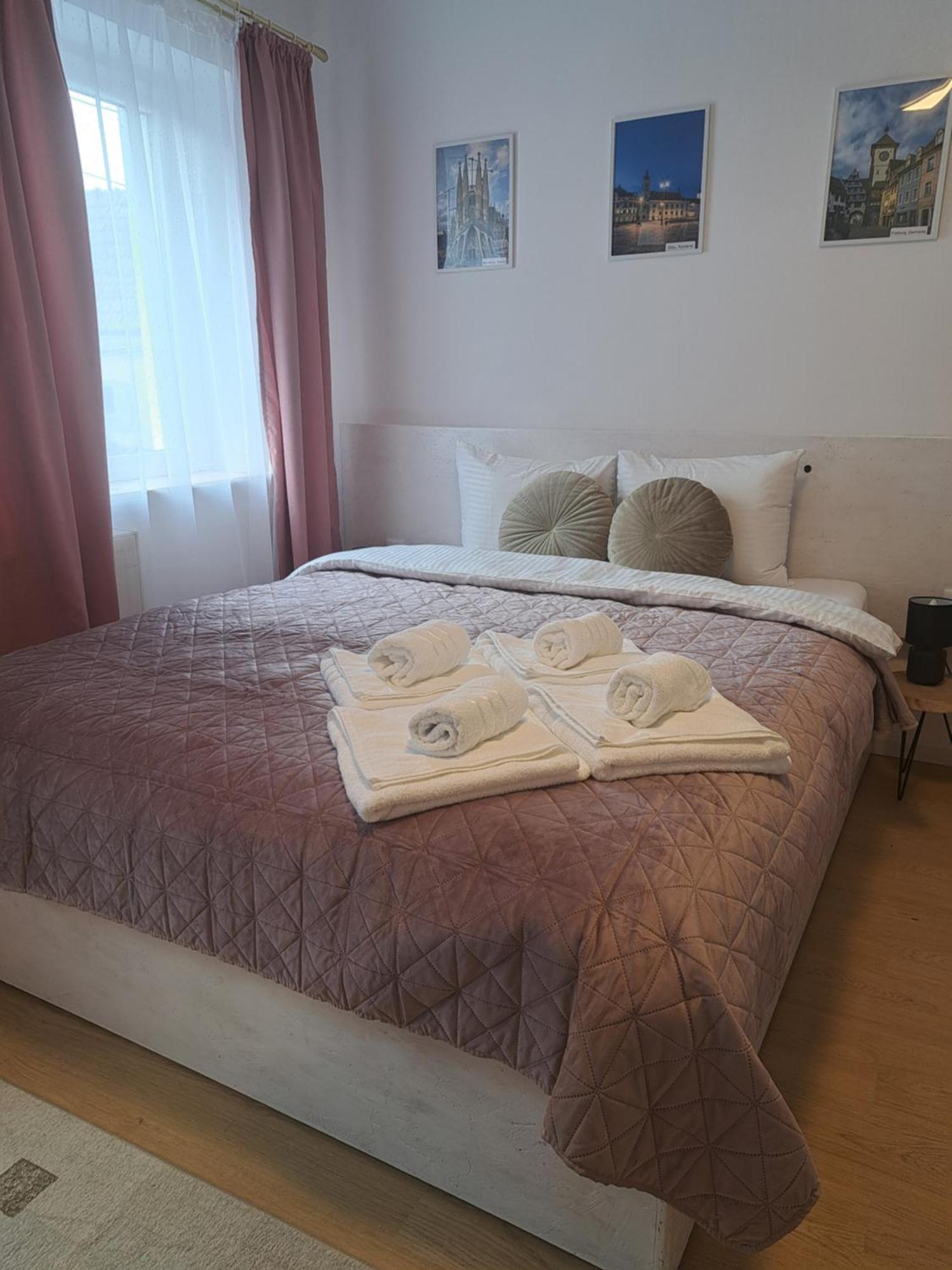 Studio With Free Parking In The Center - Deliamo 3 Sibiu Exterior photo